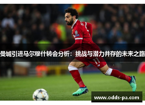 曼城引进马尔穆什转会分析：挑战与潜力并存的未来之路
