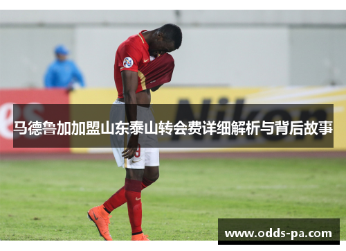 马德鲁加加盟山东泰山转会费详细解析与背后故事