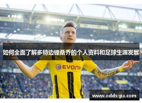 如何全面了解多特边锋桑乔的个人资料和足球生涯发展 如何全面了解多特边锋桑乔的个人资料和足球生涯发展