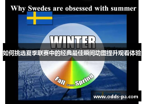 如何挑选夏季联赛中的经典最佳瞬间动图提升观看体验
