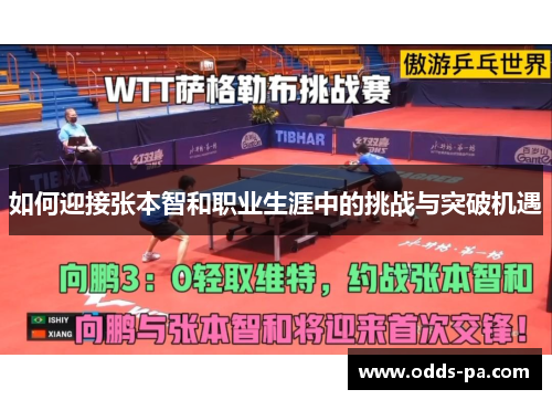 如何迎接张本智和职业生涯中的挑战与突破机遇