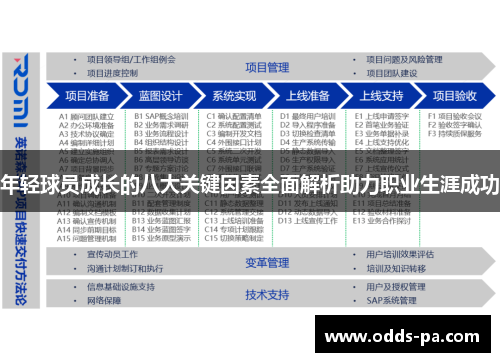 年轻球员成长的八大关键因素全面解析助力职业生涯成功
