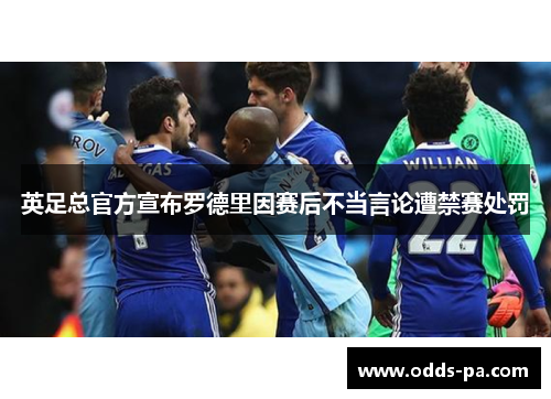 英足总官方宣布罗德里因赛后不当言论遭禁赛处罚 英足总官方宣布罗德里因赛后不当言论遭禁赛处罚