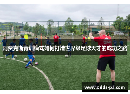 阿贾克斯青训模式如何打造世界级足球天才的成功之路
